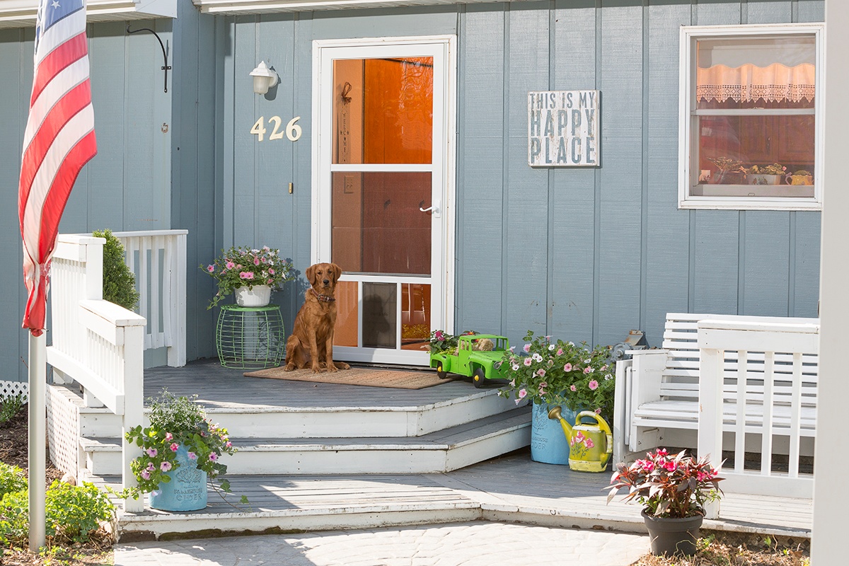 Storm door with large best sale pet door